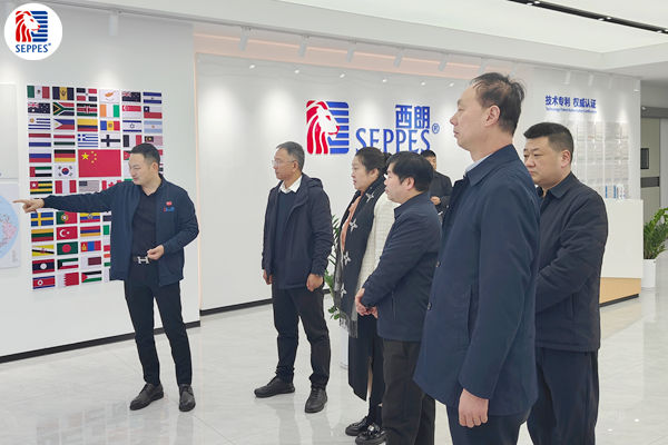 钱多多 钱多多