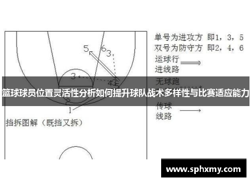 篮球球员位置灵活性分析如何提升球队战术多样性与比赛适应能力